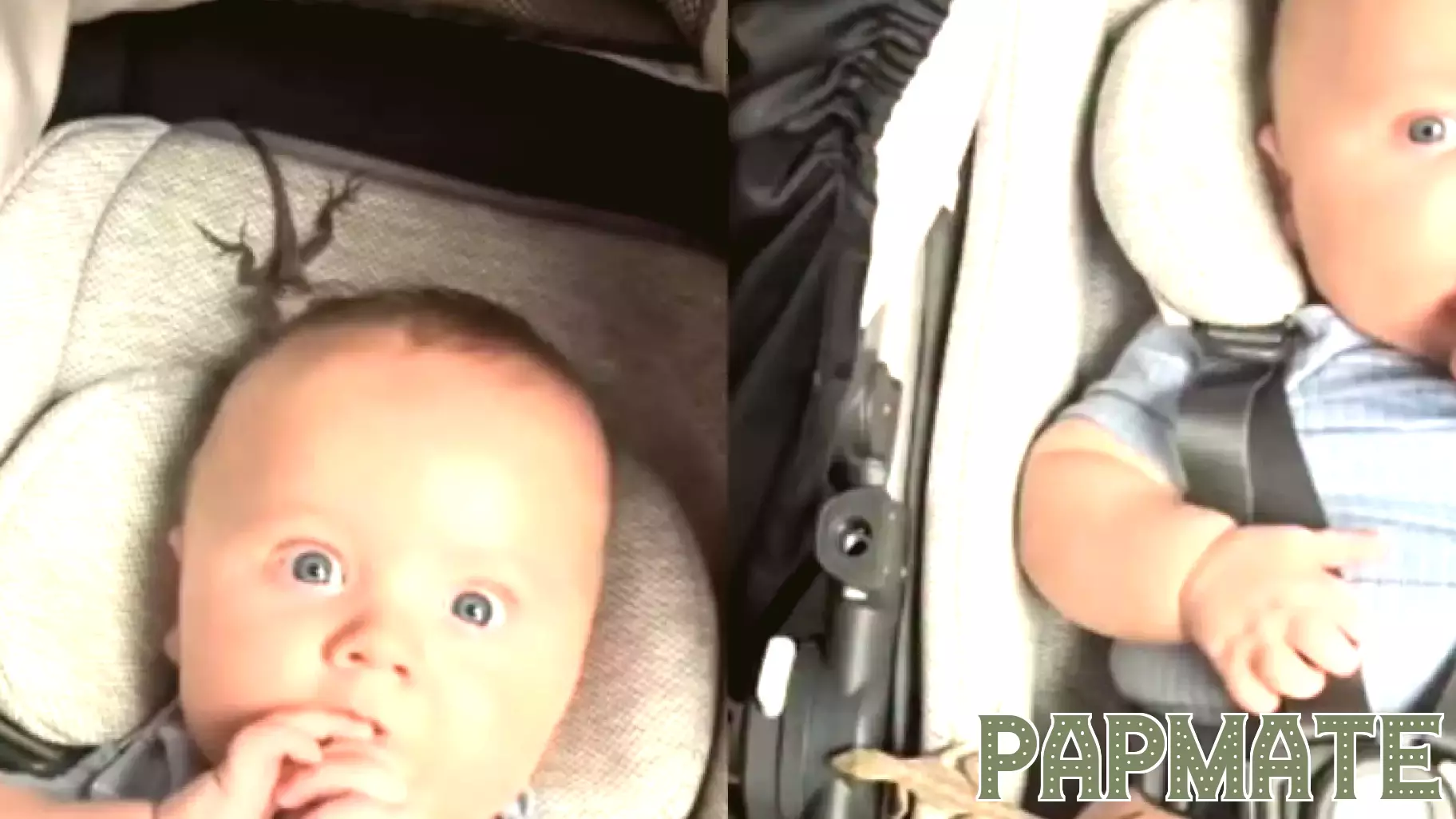 Controversial Video of Toddler and Lizard Raises Parenting Concerns