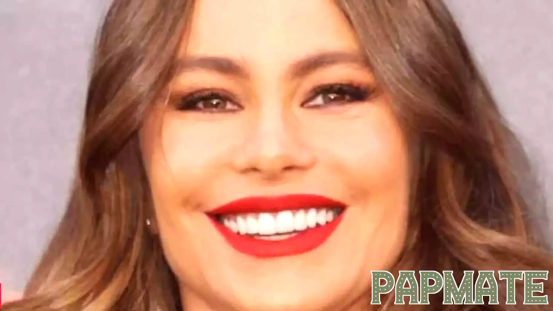 Quote of the Day by Sofía Vergara: “When you have a kid, you have to be more…