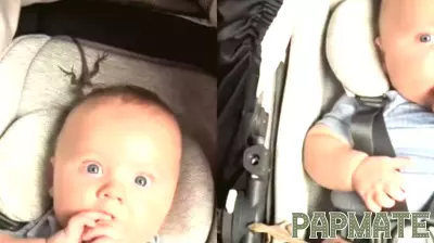 Controversial Video of Toddler and Lizard Raises Parenting Concerns