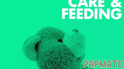 Essential Car Seat Insights for Every Parent