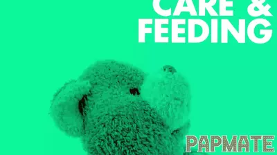 Navigating the A.I. Revolution in the Classroom